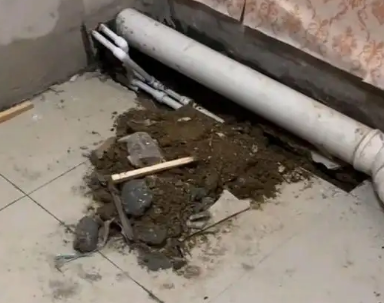 临洮卫生间漏水检测哪家好