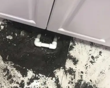 临洮查漏水哪家好